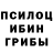 Псилоцибиновые грибы Psilocybe Gilca Rosas