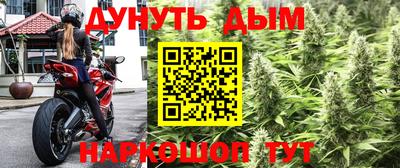 шишки Новокубанск