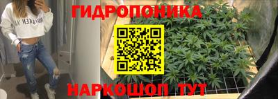 спиды Новозыбков