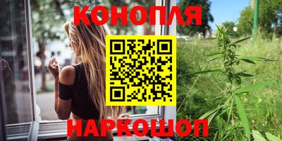 спиды Новозыбков
