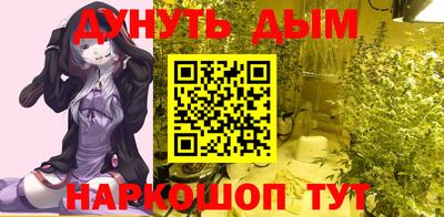 спиды Новозыбков