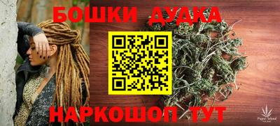 шишки Новокубанск