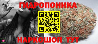шишки Новокубанск