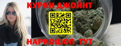 спиды Новозыбков