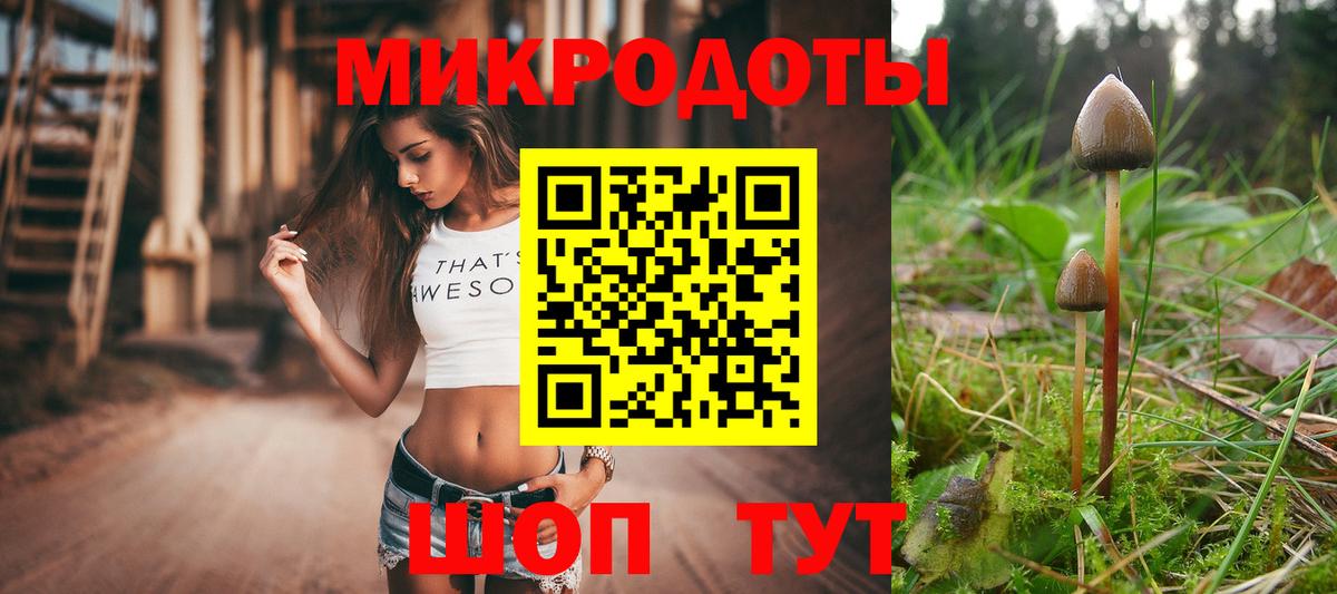 Псилоцибиновые грибы Psilocybe Тольятти